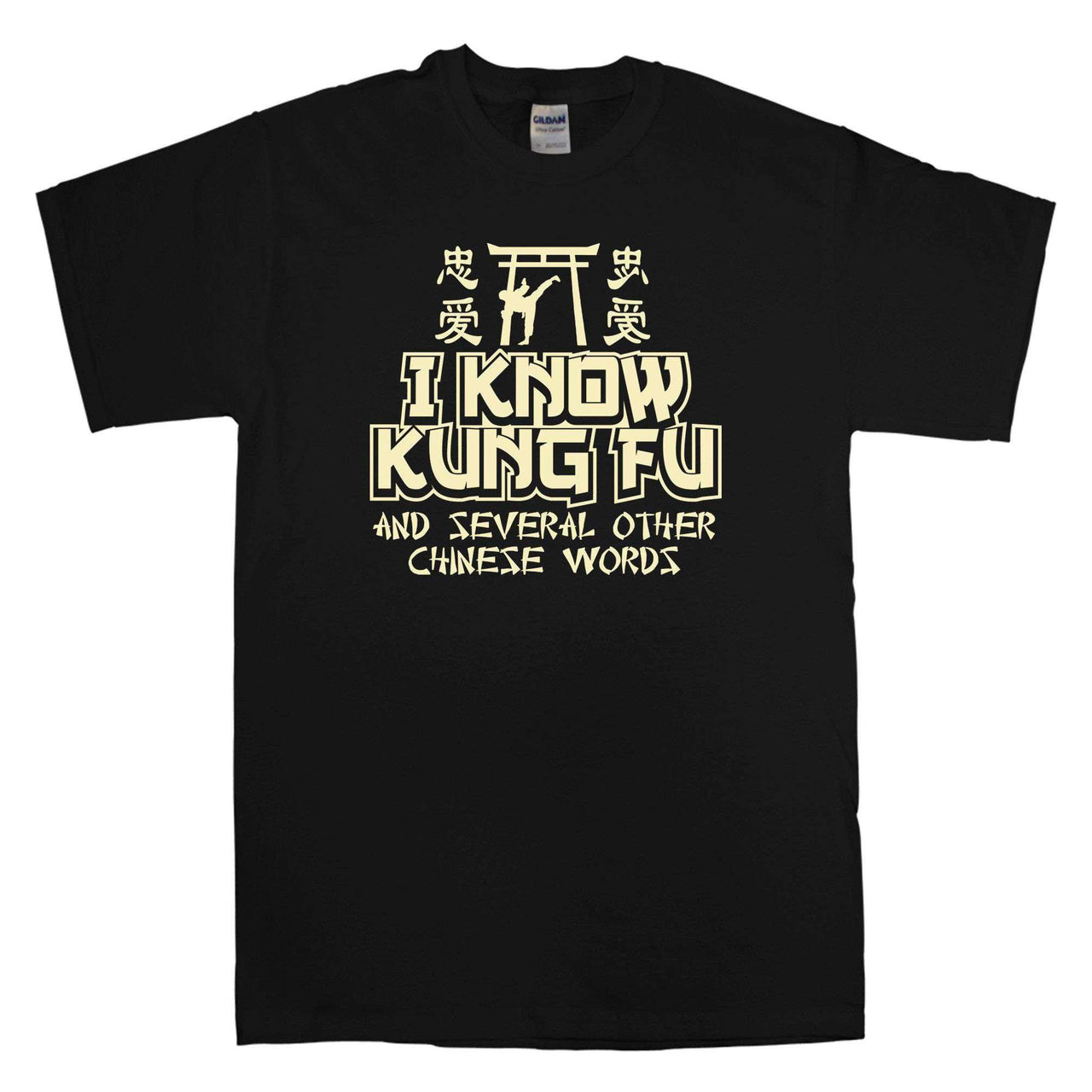 I Know Kung Fu Unisex T-Shirt For Men And Women 8Ball