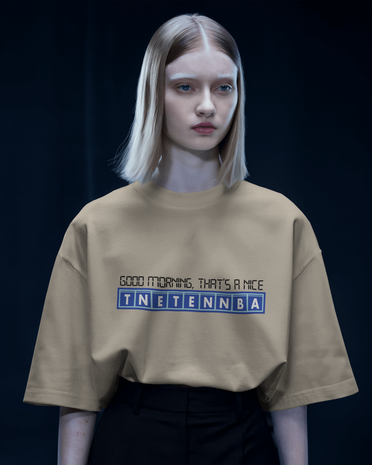 Person wearing a beige t-shirt with text on a dark background - IT Crowd - Tnetennba