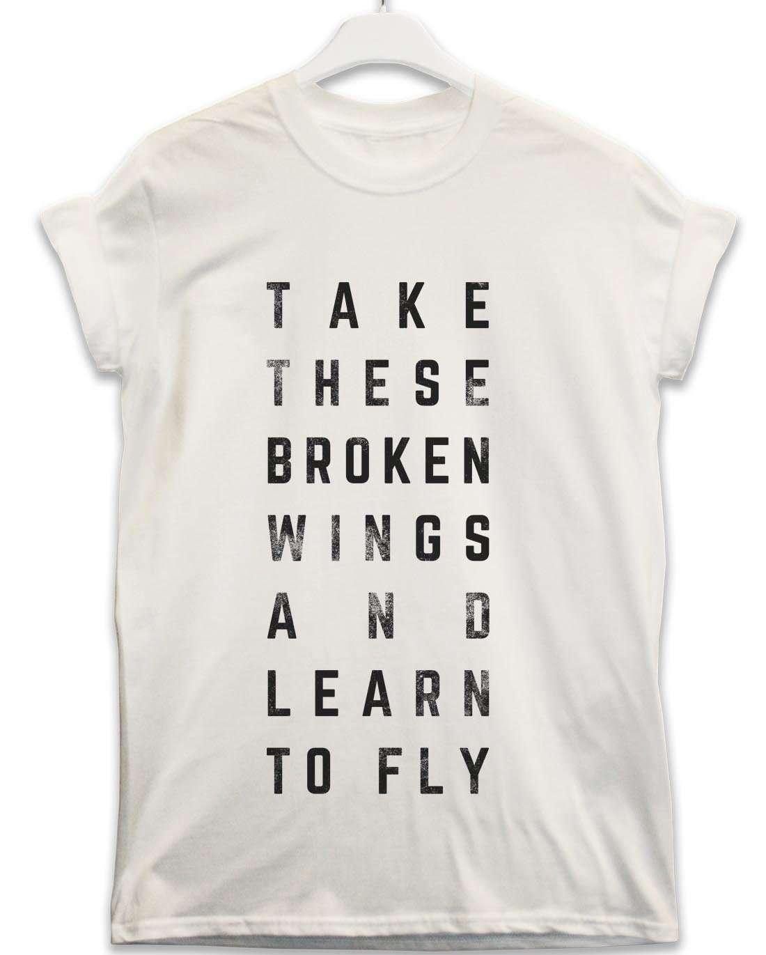 Take These Broken Wings Lyric Quote Unisex T-Shirt For Men And Women 8Ball